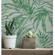 IVY 5m²